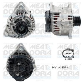 Lichtmaschine 5510746G
