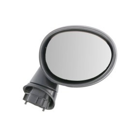 Acquista Specchietto retrovisore esterno da BLIC 5402-05-0877311P a buon mercato per soli 318,85 €