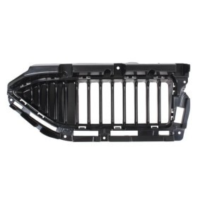 Kühlergrill 6502-07-7800991P
