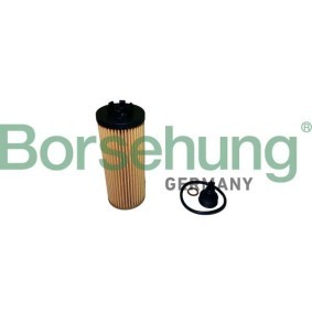 Ölfilter von Borsehung B10437