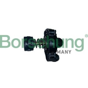 Kühlwasserthermostat von Borsehung B10554