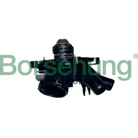 Achetez des Thermostat d'eau Borsehung B10557 à prix pour 140,72 €