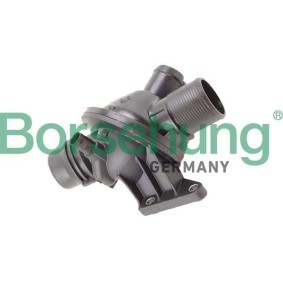 Achetez des Thermostat d'eau Borsehung B10562 à prix pour 154,91 €