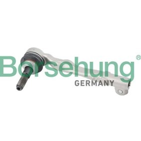 Achetez des Rotule de direction Borsehung B10821 à prix pour 112,24 €