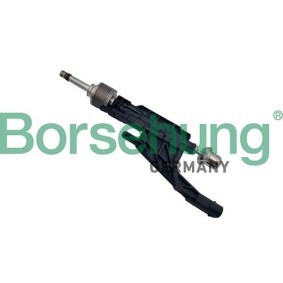Compre Válvula injectora da Borsehung B11171 a um preço baixo por 270,73 €