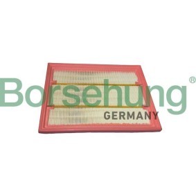 Luftfilter von Borsehung B12441