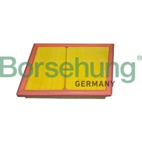 Luftfilter von Borsehung B12451