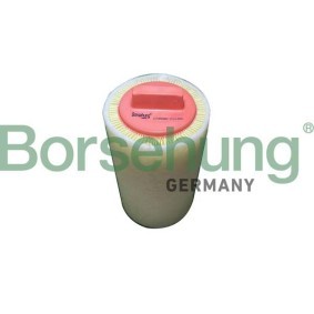 Luftfilter von Borsehung B12462