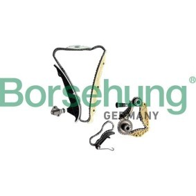 Steuerkettensatz von Borsehung B12519