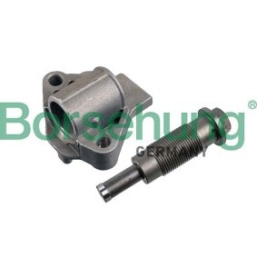 Comprar Tensor de cadena de distribución de Borsehung B12593 a bajo precio de 73,64 €