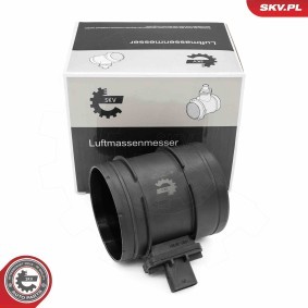 Luftmassenmesser (LMM) 07SKV219