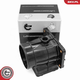 Acquista Debimetro da ESEN SKV 07SKV223 a buon mercato per soli 74,38 €