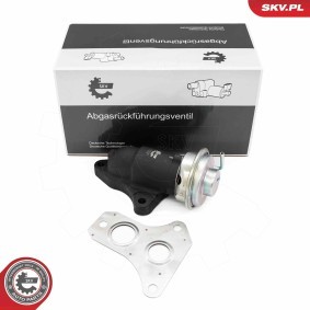 AGR-Ventil 14SKV263