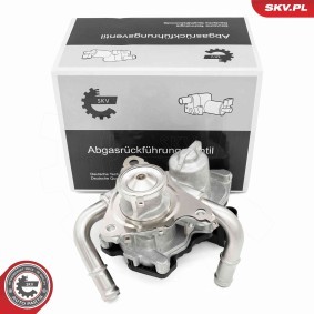 AGR-Ventil 14SKV278