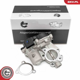 Compre Válvula EGR de ESEN SKV online para FABIA Ranchera familiar (NJ5) a precios moderados