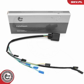 Achetez des Valve de commande, boîte automatique ESEN SKV 53SKV027 à prix pour 102,29 €