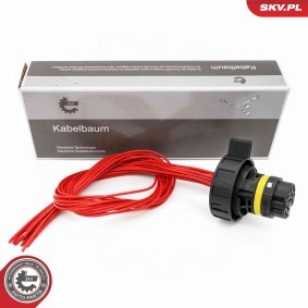 Achetez des Valve de commande, boîte automatique ESEN SKV 53SKV029 à prix pour 95,48 €