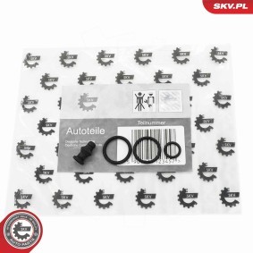 Compre Kit de reparación de inyectores de ESEN SKV online para SUPERB Ranchera familiar (3T5) a precios moderados
