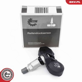 Reifendruck-Kontrollsystem (RDKS) 70SKV005