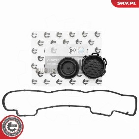 Achetez des Jeu de joints d'étanchéité, couvercle de culasse ESEN SKV 96SKV283 à prix pour 20,15 €