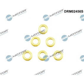 Wärmeschutzscheibe, Einspritzanlage DRM02456S