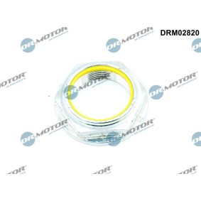 Achetez des Écrou, bout d'essieu DR.MOTOR AUTOMOTIVE DRM02820 à prix pour 33,86 €