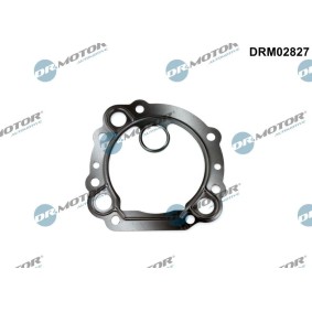 AGR-Ventil-Dichtung DRM02827