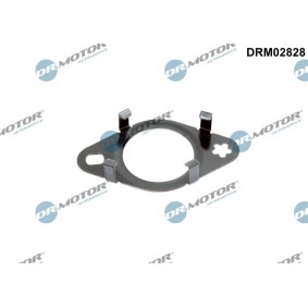 Dichtung, Leitung AGR-Ventil DRM02828 FORD TOURNEO CUSTOM von DR.MOTOR AUTOMOTIVE