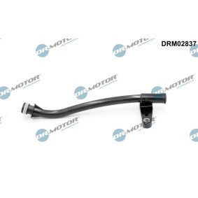 Achetez des Entonnoir, jauge de niveau d'huile DR.MOTOR AUTOMOTIVE DRM02837 à prix pour 26,51 €