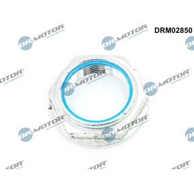 Achetez des Écrou, bout d'essieu DR.MOTOR AUTOMOTIVE DRM02850 à prix pour 27,17 €