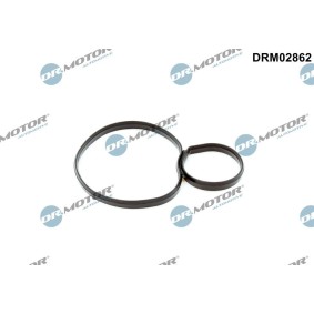 Achetez des Joint d'étanchéité, boîtier de filtre à huile DR.MOTOR AUTOMOTIVE DRM02862 à prix pour 8,50 €