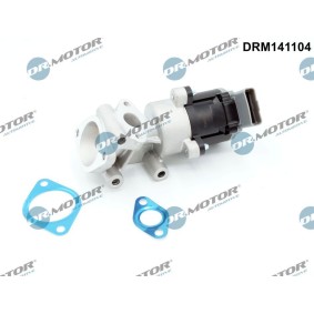 AGR-Ventil DRM141104