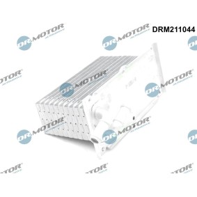 Achetez des Intercooler DR.MOTOR AUTOMOTIVE DRM211044 à prix pour 64,68 €