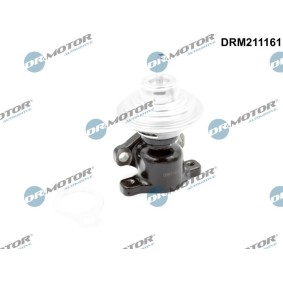 AGR-Ventil DRM211161