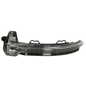 Blinker 5403-25-054105P