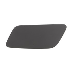 Acquista Mostrina, Paraurti da BLIC 5513-00-0027911Q a buon mercato per soli 11,54 €