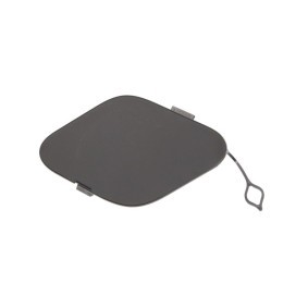 Klappe, Abschlepphaken 5513-00-2511920P