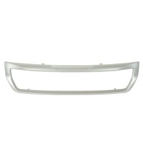Kühlergrill 6502-07-0554910P