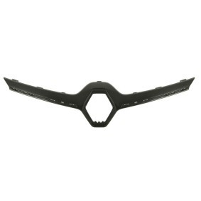 Blende, Kühlergitter 6502-07-6048992P
