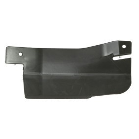 Verkleidung, Radhaus 6601-01-2589806P