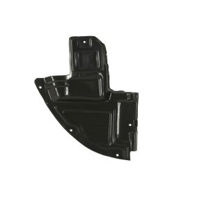 Verkleidung, Radhaus 6601-01-3499802P
