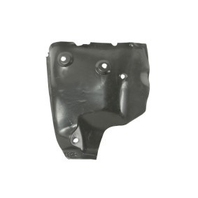 Verkleidung, Radhaus 6601-06-0000066P