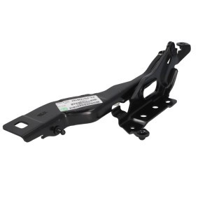 Scharnier, Motorhaube 6802-00-2593451P