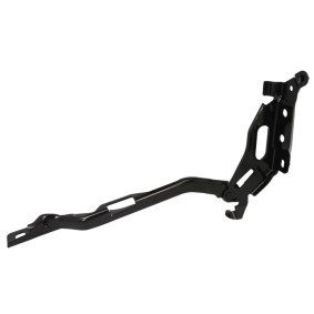 Scharnier, Motorhaube 6802-00-2593452P