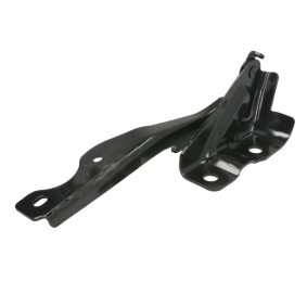 Scharnier, Motorhaube 6802-00-3479451P
