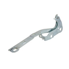 Scharnier, Motorhaube 6802-00-5054452P