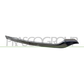 Zier- / Schutzleiste, Kühlergitter RN8262103
