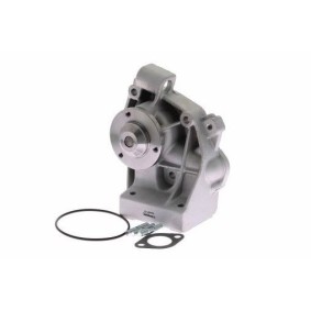 Achetez des Pompe à eau DIAMAX AD04112 à prix pour 100,90 €