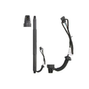 Comprar Muelle a gas, anaquel, (maletero. comp. carga) de Magnum Technology MGS3128MT a bajo precio de 193,61 €