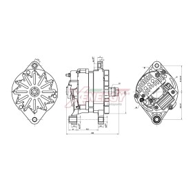 Lichtmaschine von AP XENERGY